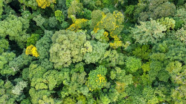 Où se situent les vulnérabilités avec le partage de comptes utilisateurs ?