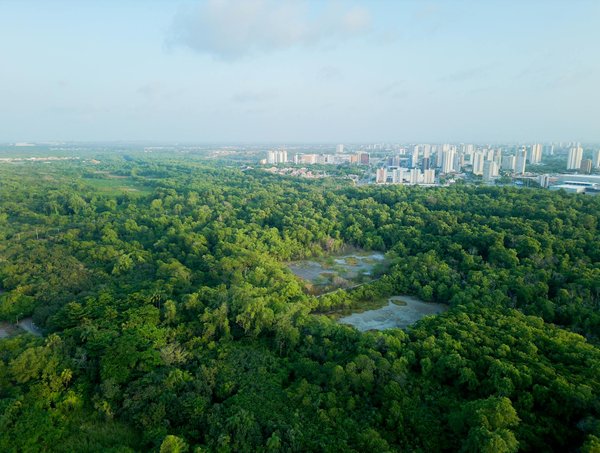 Formation en entreprise : la clé d'une meilleure performance de vos employés